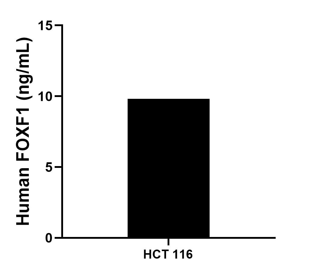 Sample test of MP00943-2